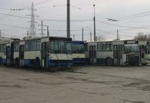 Transport în comun gratuit, la Târgu Jiu