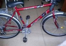 Surprins pe o bicicletă furată