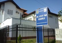 Peste 900 de locuri de muncă, disponibile în Gorj Sute de locuri de muncă disponibile în Gorj