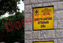 Mai multe amenzi aplicate de inspectorii DSV Gorj!