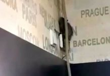 Cofetăria cu șobolan din Târgu Jiu, amendată drastic. Vezi ce sancțiuni a dat DSVSA Gorj Un șobolan a fost filmat într-o cofetărie din municipiul Târgu Jiu