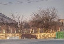 Măgar abandonat de aproape o lună pe raza comunei Drăguțești