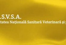 18:44 ALERTĂ! Carne de curcan, din zone cu gripă aviară, în magazine din Gorj