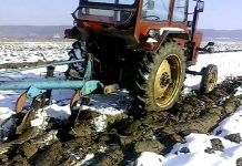 Agricultura pe înțelesul tuturor – Graficul lucrărilor agricole în luna ianuarie