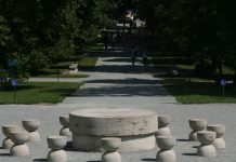 Modernizarea Căii Eroilor, abandonată înainte de începere Aurel Popescu