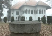 Suță: ”Ne dorim să putem să organizăm ceva în luna februarie, în Muzeul Constantin Brâncuși”