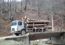 Mii de mașini cu lemne, verificate de polițiștii gorjeni. Amenzi!