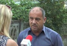 Strânge semnături pentru a stopa tăierile ilegale de păduri
