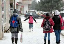 Posturi vacante de administrator financiar cu jumătate de normă la două școli din Gorj