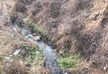 Incredibil ce a găsit o localnică din Țicleni în mijlocul unei păduri