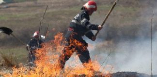 Incendii de vegetație în trei localități din Gorj