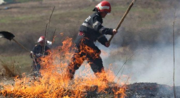 Incendii de vegetație în trei localități din Gorj