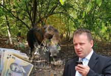 Pagubă de un milion de euro la complexul de vânătoare al lui Iordache. Omul de afaceri a depus plângeri