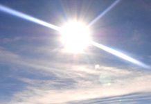 Meteo 10 ianuarie 2020. Temperaturi de primăvară în plină iană