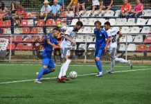 Pandurii, cerere către FRF