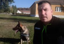 Eliberarea din arest preventiv a conductorului de câini de la Poliția Târgu Jiu, decisă de Înalta Curte de Casație și Justiție