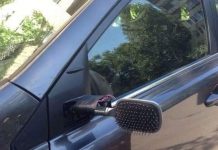 Când nu ai oglindă pui…… peria