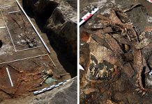 Scheletele a patru «amazoane», descoperite într-un singur mormânt