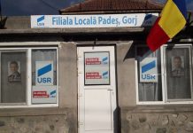 USR Padeș merge pe mâna lui Pleșu, președintele unui ONG, pentru funcția de primar