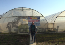 Interes crescut pentru subvențiile acordate culturilor de tomate