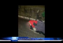 CULEȘI DE PE STRADĂ, DE POLIȚIȘTII LOCALI