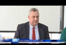 MII DE GORJENI ȘI AU GĂSIT DE LUCRU