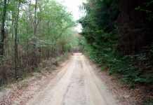 Drumul spre Cerna Sat ar putea fi mai scurt cu 100 de kilometri