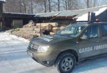 Garda Forestieră, control la o firmă din Tismana