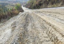 Unii primari se plâng de bani, alții spun cum se descurcă