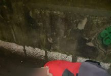 Ajutaţi de agenţii de la Locală