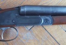 Cercetat de polițiști după ce a împușcat un câine fără stăpân