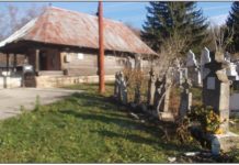 Memoria documentelor (II)