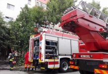 14 incendii de vegetație uscată în Gorj 14 incendii de vegetație uscată în Gorj