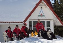 Câinii pentru salvare montană, evaluați la Rânca Câinii pentru salvare montană, evaluați la Rânca