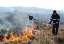 Peste o sută de incendii de vegetație uscată de la începutul anului