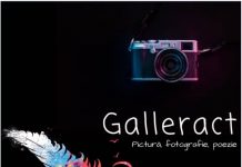 Concurs Galleract, pe trei secţiuni, la Muzeul Judeţean Gorj