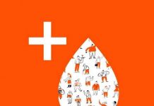 Campanie a PLUS Gorj pentru donarea de sânge