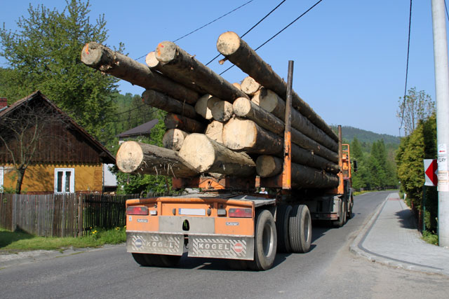 Cu ochii pe transportatori