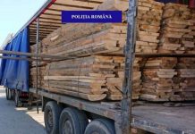 Transport ilegal de cherestea depistat de polițiștii din Tismana