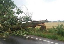 Localități lăsate fără energie electrică de vântul puternic