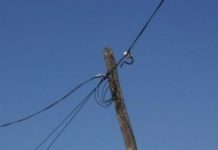 Localități din Gorj, afectate de vântul puternic