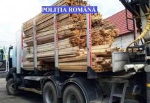 Mașină cu lemne, trasă pe dreapta
Poliţişti din cadrul Poliției Orașului Tismana au avut miercuri controale în trafic pentr…