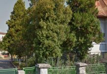 07:44 Focar de VARICELĂ la Grădinița ”Lumea Copiilor”