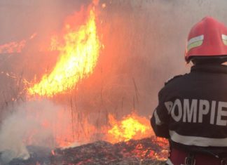 Pompierii au intervenit la peste 100 de incendii de vegetație uscată