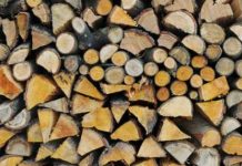 Gorj: Controale la transportatorii de lemne Gorj: Controale la transportatorii de lemne