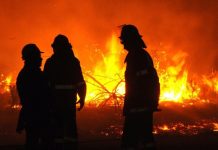 Incendii de vegetație uscată în trei localități din Gorj Incendii de vegetație uscată în trei localități din Gorj