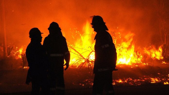 Incendii de vegetație uscată în trei localități din Gorj