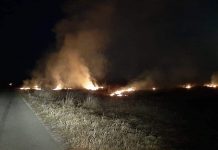 Incendiu de vegetație într-o comună din Gorj
