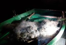 Setcă de 500 de metri depistată în barajul de pe Jiu. Braconierii s-au făcut nevăzuți