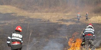 Zeci de hectare de vegetație uscată, mistuite de flăcări